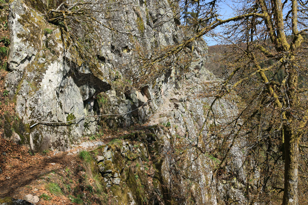 Hike Sentier des Roches Vogezen