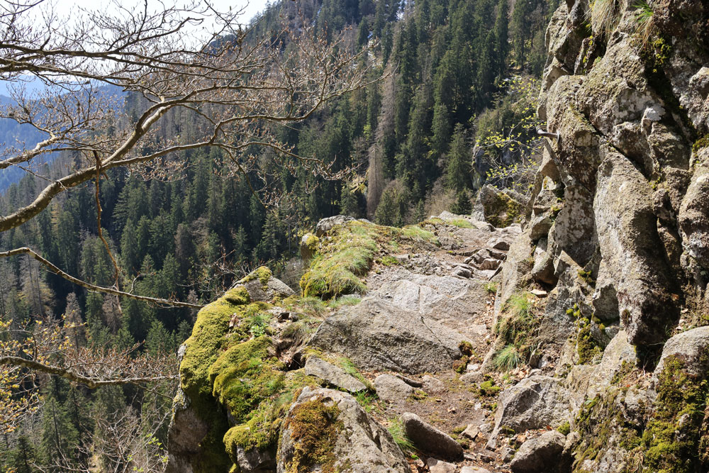Hike Sentier des Roches Vogezen