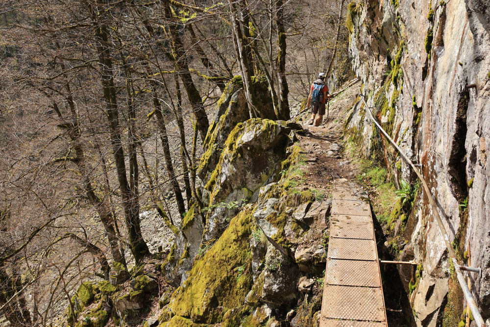 Hike Sentier des Roches Vogezen