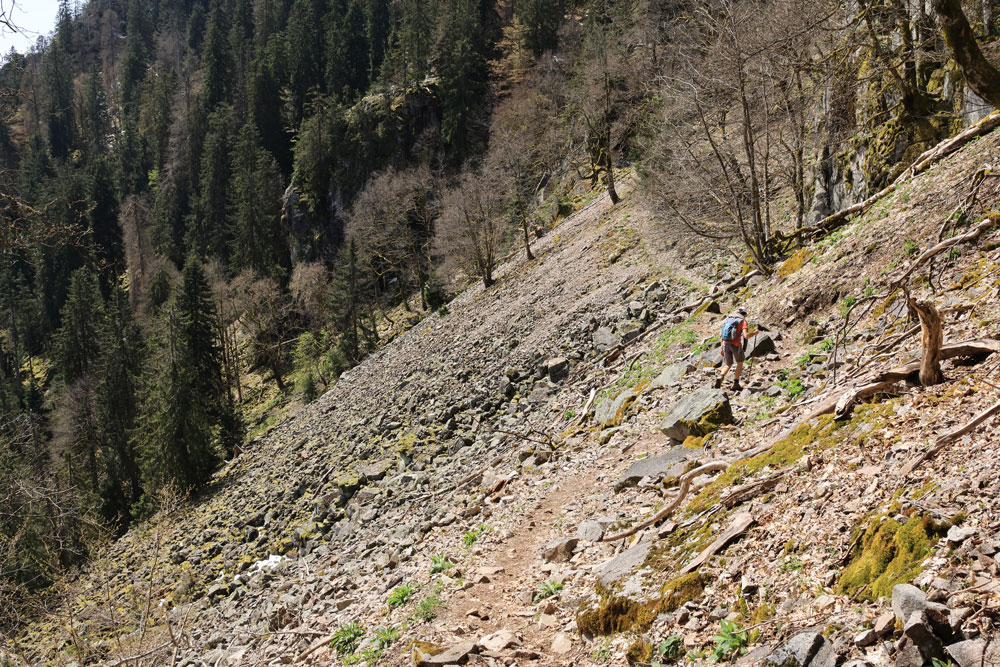 Hike Sentier des Roches Vogezen