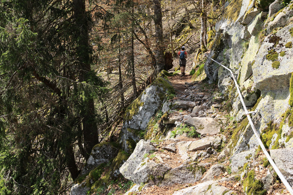 Hike Sentier des Roches Vogezen