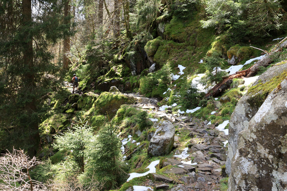 Hike Sentier des Roches Vogezen