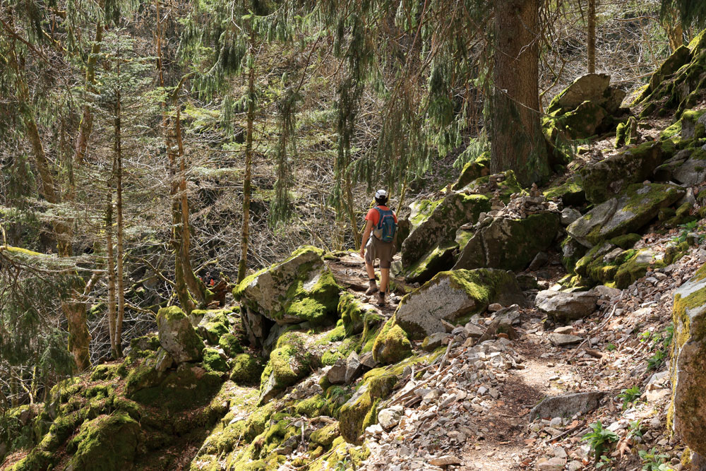 Hike Sentier des Roches Vogezen