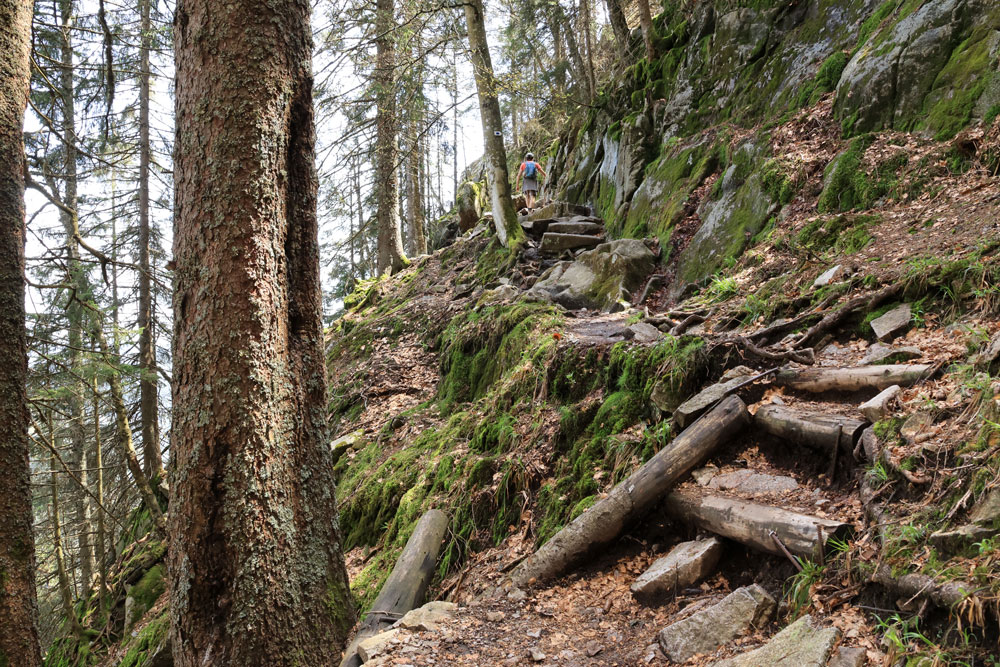 Hike Sentier des Roches Vogezen