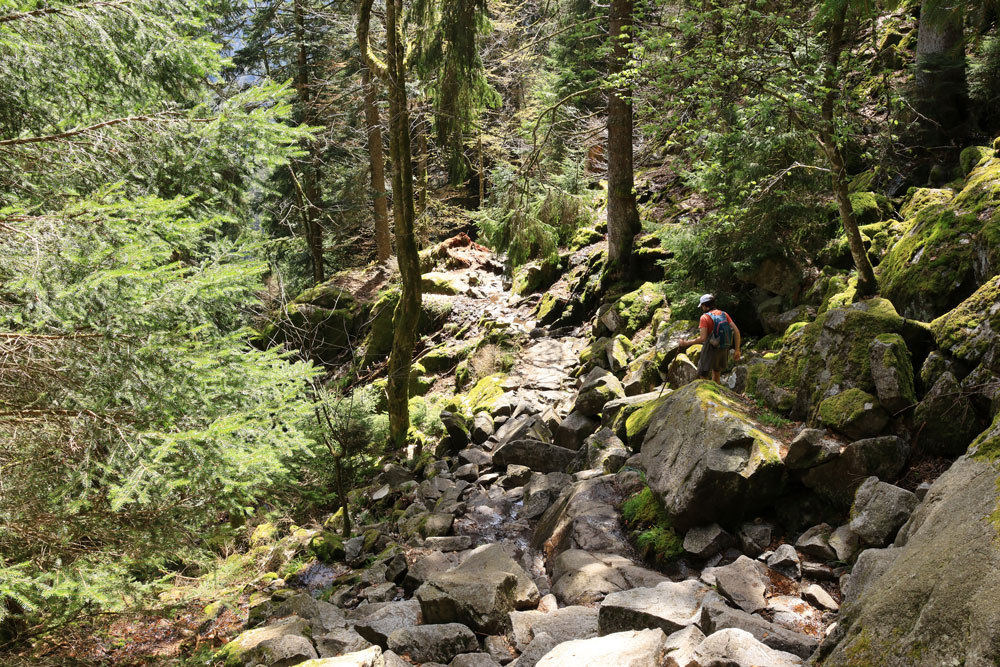Hike Sentier des Roches Vogezen