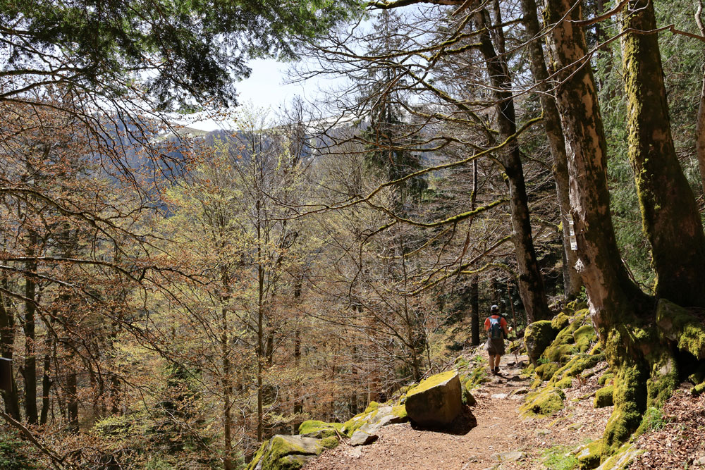 Hike Frankenthal Vogezen