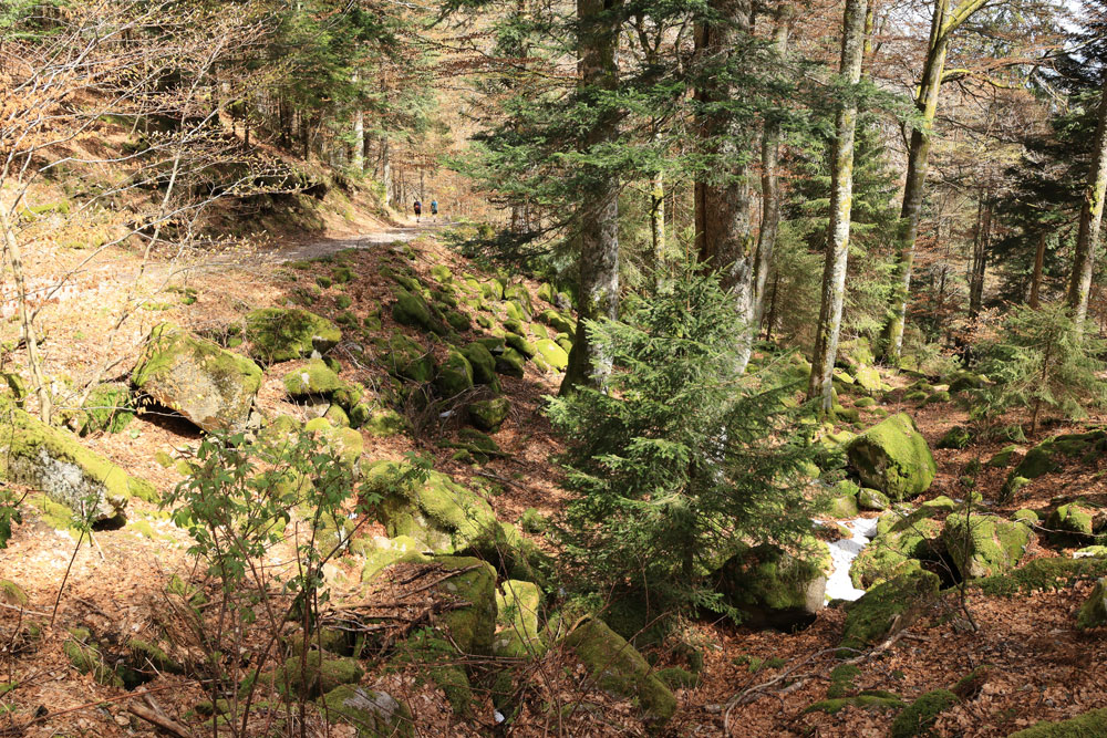 Hike Frankenthal Vogezen