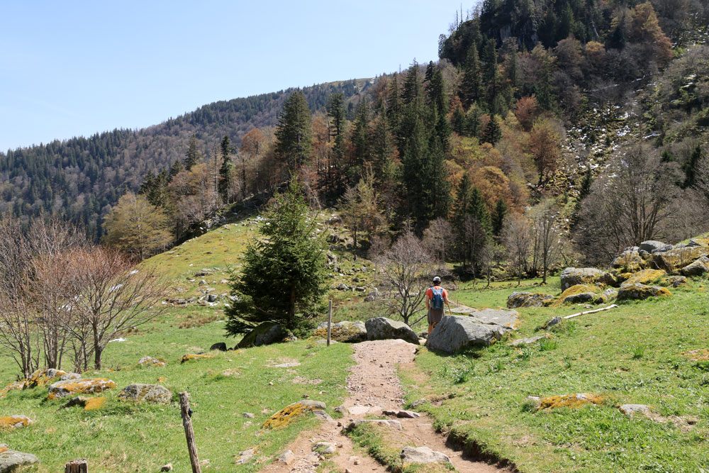 Hike Frankenthal Vogezen
