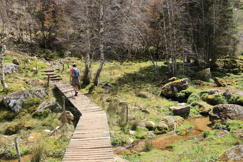 Hike Frankenthal Vogezen