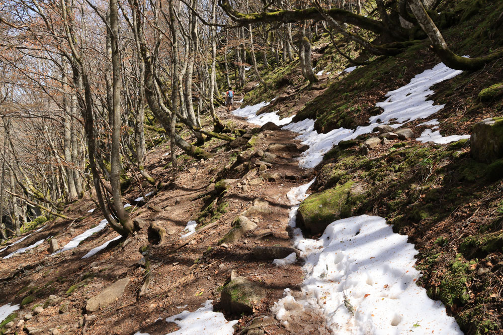 Hike Col du Schaeferthal Vogezen