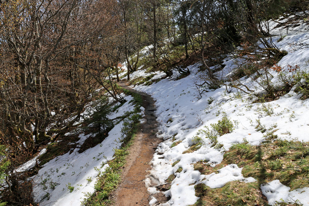 Hike Col du Schaeferthal Vogezen