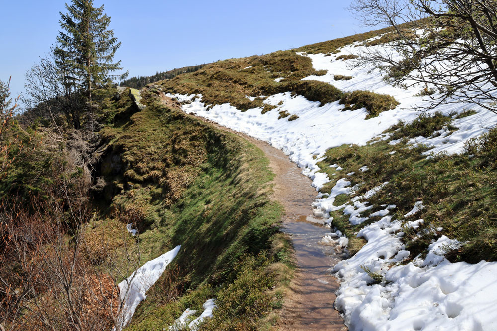 Hike Col du Schaeferthal Vogezen