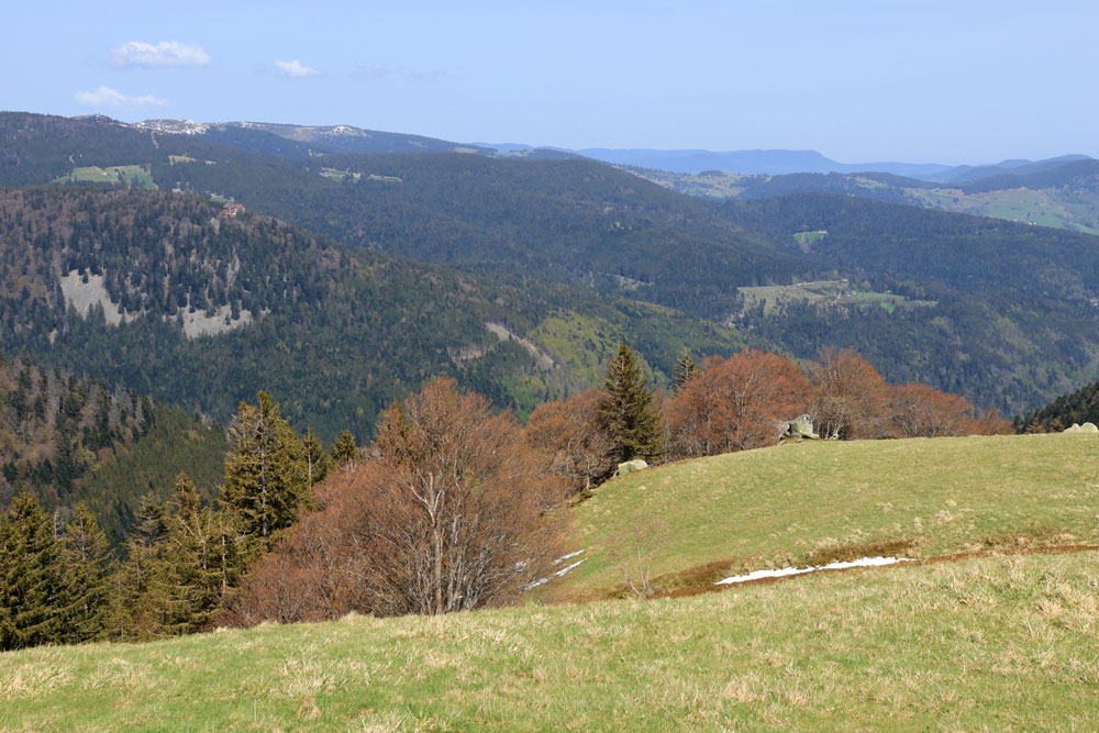 Hike Col du Schaeferthal Vogezen