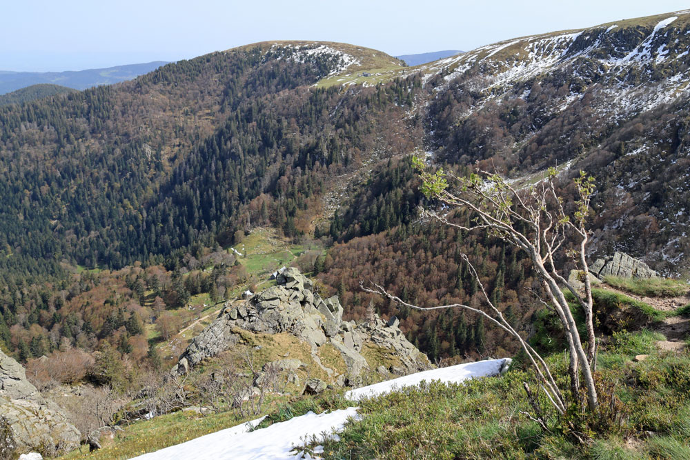 Hike Col du Falimont Vogezen