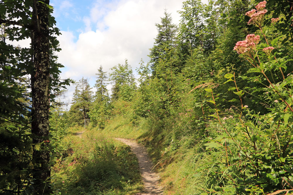 Hike Stuibenfälle Ministersteig