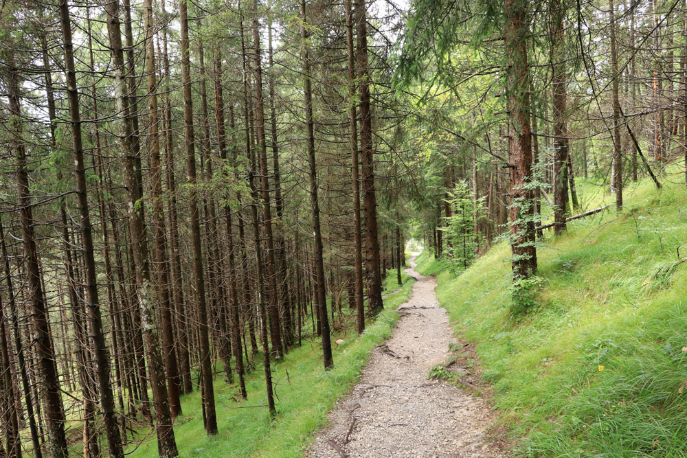 Hike Stuibenfälle Ministersteig