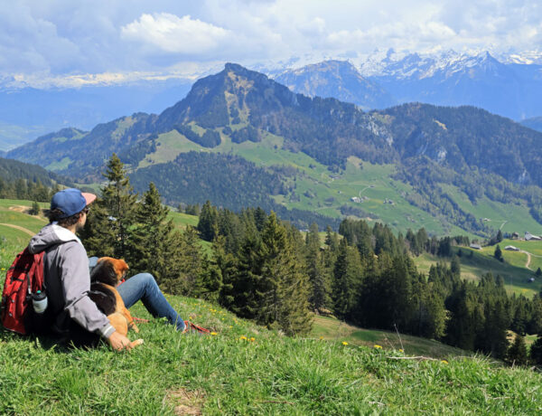 Rigi Scheidegg Panoramaweg