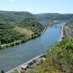 Buchsbaum Wanderpfad Moezel