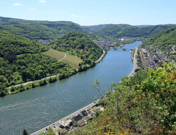 Buchsbaum Wanderpfad Moezel
