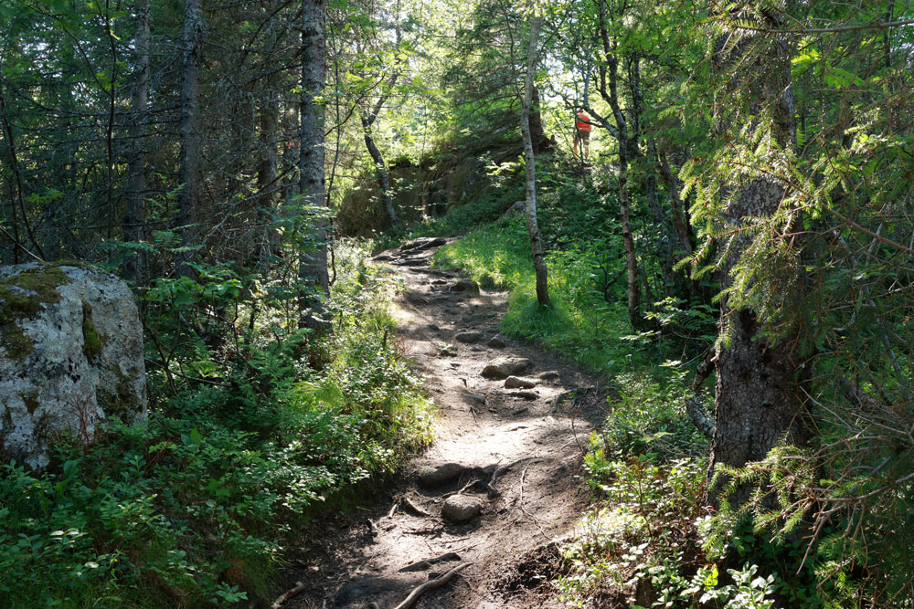 Hike Tjeldbergtinden Lofoten