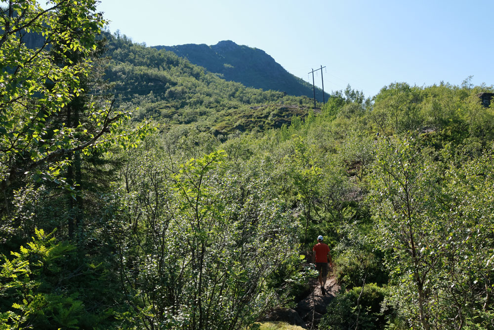 Hike Tjeldbergtinden Lofoten