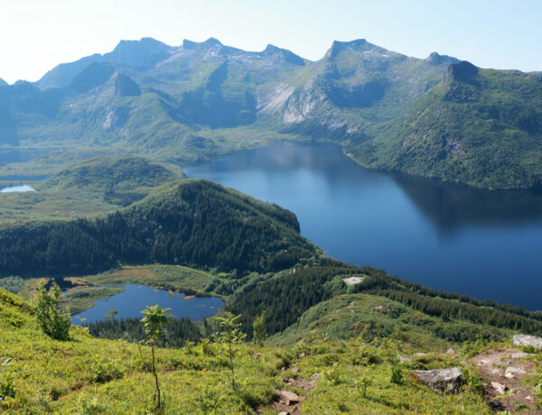 Hike Tjeldbergtinden Lofoten