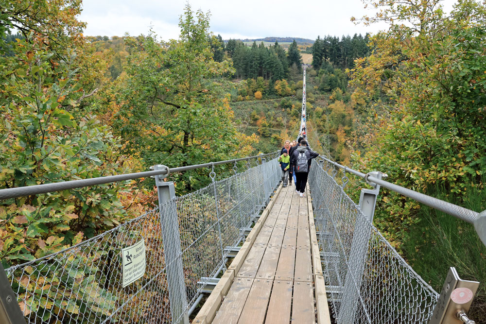Hike Geierlayschleife hangbrug Geierlay