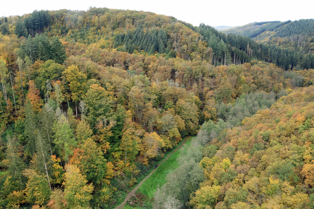Hike Geierlayschleife hangbrug Geierlay