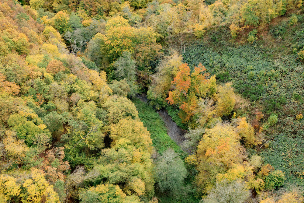 Hike Geierlayschleife hangbrug Geierlay