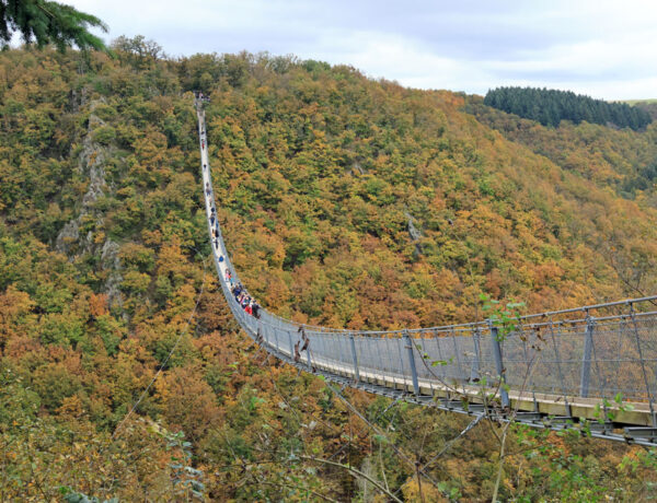 Hike Geierlayschleife hangbrug Geierlay