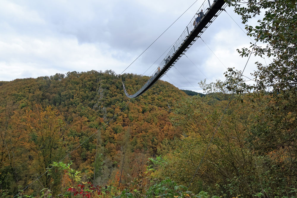 Hike Geierlayschleife hangbrug Geierlay
