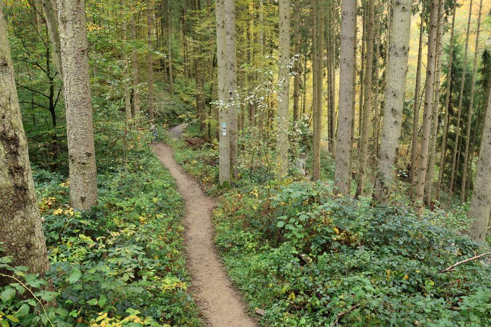 Hike Geierlayschleife