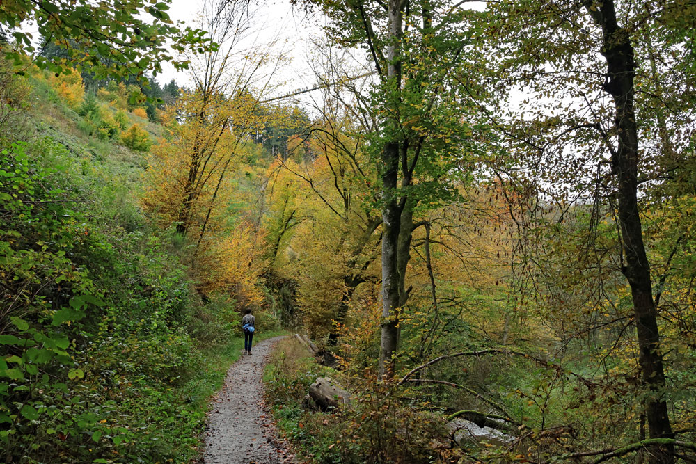 Hike Geierlayschleife
