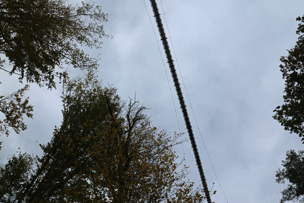 Hike Geierlayschleife hangbrug Geierlay