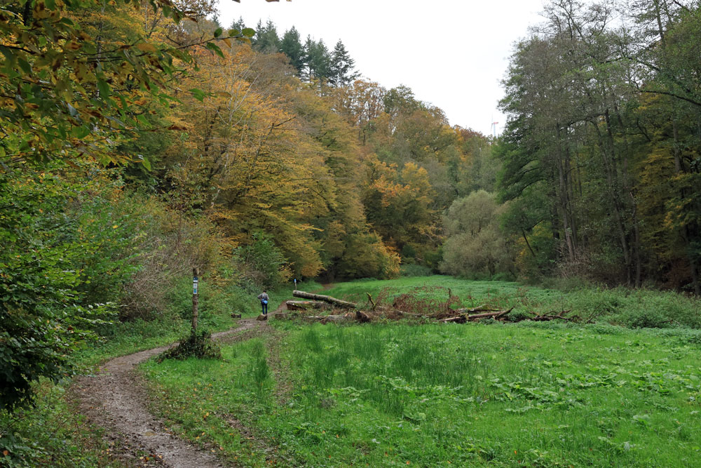 Hike Geierlayschleife