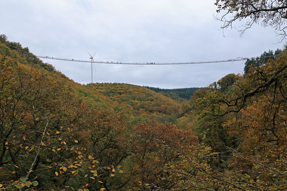 Hike Geierlayschleife hangbrug Geierlay