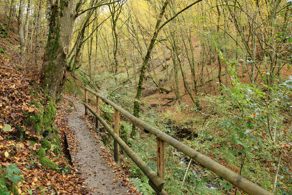 Hike Geierlayschleife
