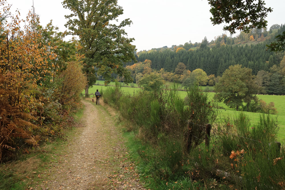 Les deux rochers Ardennen