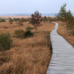 La grande ronde des Fagnes - Hoge Venen Ardennen