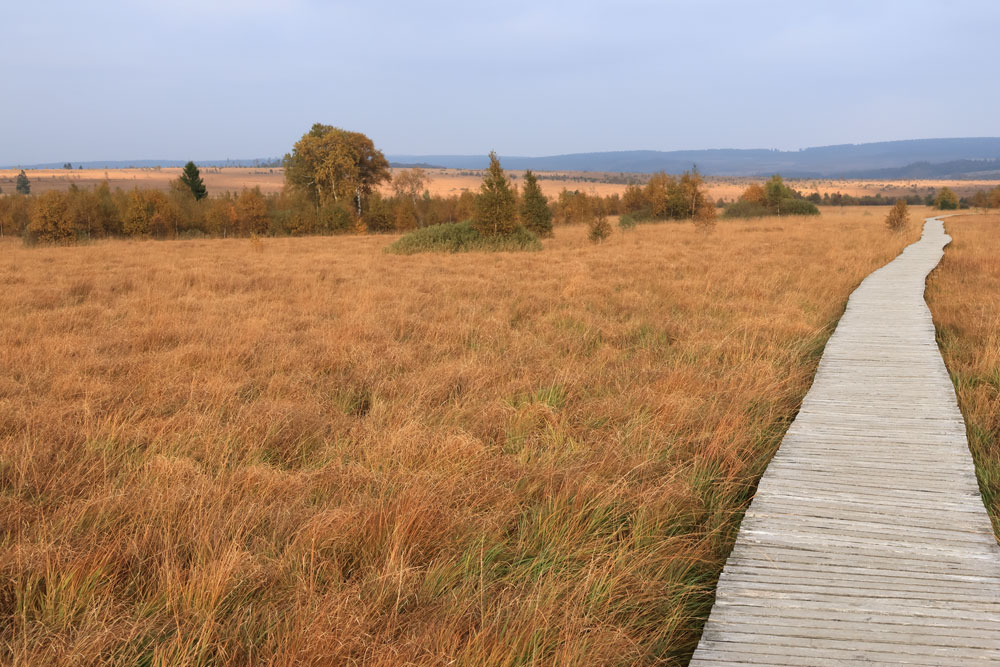 La grande ronde des Fagnes - Hoge Venen Ardennen