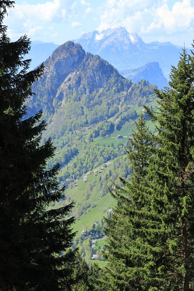 Hike Rigi Hochflue