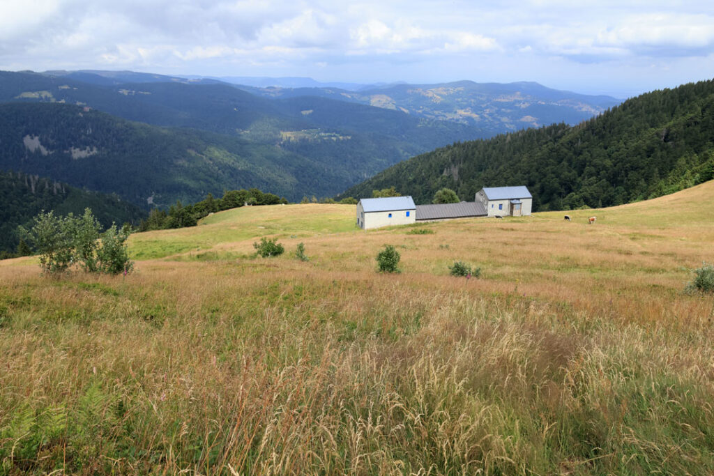 Le Hohneck Sentier des Couloirs