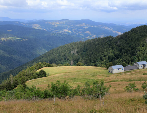 Le Hohneck Sentier des Couloirs