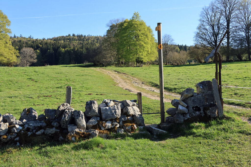 Hike Rocher des Tablettes Jura