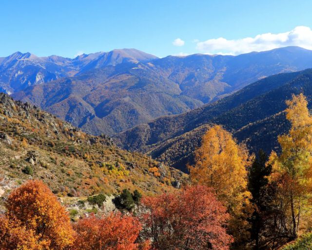FRANKRIJK - PYRÉNÉES ORIENTALES  Op deze eerste winterdag blik ik nog even terug op onze fantastische herfstvakantie in oktober. We verbleven een week in de regio Conflent-Canigo aan de rand van de Catalaanse Pyreneeën. Een heerlijke plek! Als je wilt genieten van mooie herfstkleuren, warme zon, mooie bergen en afwisselende hikes is dit gebied zeker een aanrader. 😍  Eén van mijn mooiste hikes ging van Coll de Mentet naar de bergtop Pic de Tres Estelles. De uitzichten onderweg waren echt waanzinnig en we zijn maar 1 andere wandelaar tegengekomen! Links op de foto zie je Pic du Canigou, de heilige berg voor de Catalanen. Tijdens de hele wandeling kun je de Canigou goed zien. Ook fijn: de hike is niet zwaar! 😅 Én: de autoweg naar het startpunt is al een lust voor het oog, zo ontzettend mooi!! 🤩  Kilometers: in totaal 8 km
Hoogtemeters: 500 meter  Zie jij jezelf hier in de herfst ook wel lopen? 🤩 En ben jij wel eens in dit gebied geweest? 
.
.
#france #francetourisme #pyreneesorientales #pyrenees #conflent #canigou #justcanigo #languedocroussillon #visitfrance #outdoortones #outdooradventures #outdooraddict #hikingtrails #hikingcommunity #hikingviews #hikingaddict #hikingadventures #hikingbangers #hikingphotography #hikingislife #hikevibes #besthikes #mountains #autumn #mountainlovers #mountainscape #mountainview #lonelyplanetnl