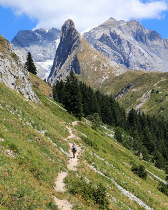 Nog even en ik mag weer over zulke heerlijke bergpaadjes wandelen. Heel veel zin in! 🤩
Deze zomer staat Oostenrijk op de planning, het land waar mijn liefde voor wandelen en hiken begonnen is 💚.
Hebben jullie ook mooie berggebieden op de planning staan? 
(Deze foto is gemaakt op het mooie balkonpad vanaf Mont Bochor naar Refuge Les Barmettes 🥰.)
.
.
#bergwandelen #bergwandern #hikingtrails #indebergen #peoplewhohike #bergsport #bergblick #hikingaddict #hikingtheglobe #hikingislife #hikingadventures #hikingmountains #mountainlovers #mountainviews #outdoorbloggers #outdoor #outdoorlife #reisblogger #hikenistof #roamtheplanet #mountainsarecalling #mountain_world #discovertheworld #naturelovers #hikevibes #lavanoise #pralognanlavanoise #wanderlust #wandelenindebergen #exploretheoutdoors