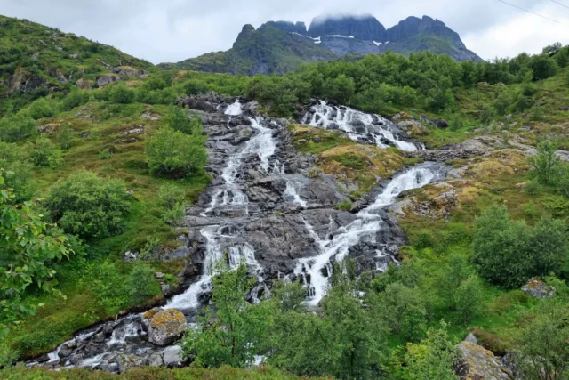 De hike naar de top van de Tindstinden op de Lofoten staat garant voor prachtige groene uitzichten 💚! 

Maar het uitzicht op de zee en de vele bergmeren mag er ook zijn 💙! 
Wil je meer weten over deze mooie hike? Check dan de blog op hikenistof.com 😍! 
.
.
#lofoten #lofotensecret #lofotenislands #visitlofoten #norway #norwaynature #norge #mynorwaystories #norwaytravel #norwayhike #hikenistof #hikingtrails #hikingaddict #hikingeurope #hikingviews #hikersofinstagram #hikevibes #hikeadventures #hikemore #hikinglife #norway2day #norwalk #europedestinations #europetravel #hikingislife