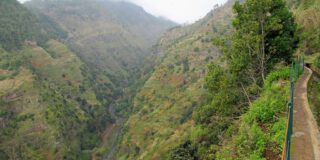 Madeira Levada Nova