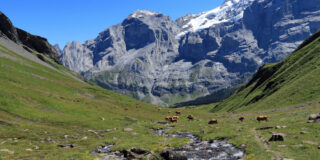 Van Wart naar Scheidegg Oberläger