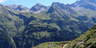 Allgäuer Alpen Steinbocktour